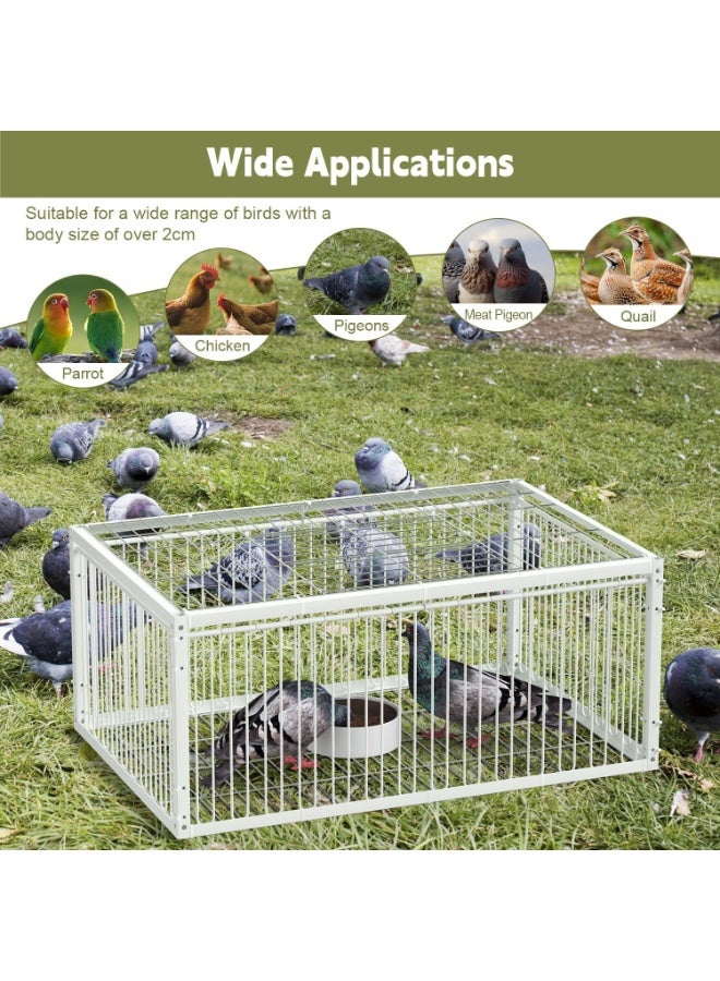 Pigeon trapping cage with one-way entrance (2 doors), bird trapping cage, automatic pigeon trap with a design... - Image 3